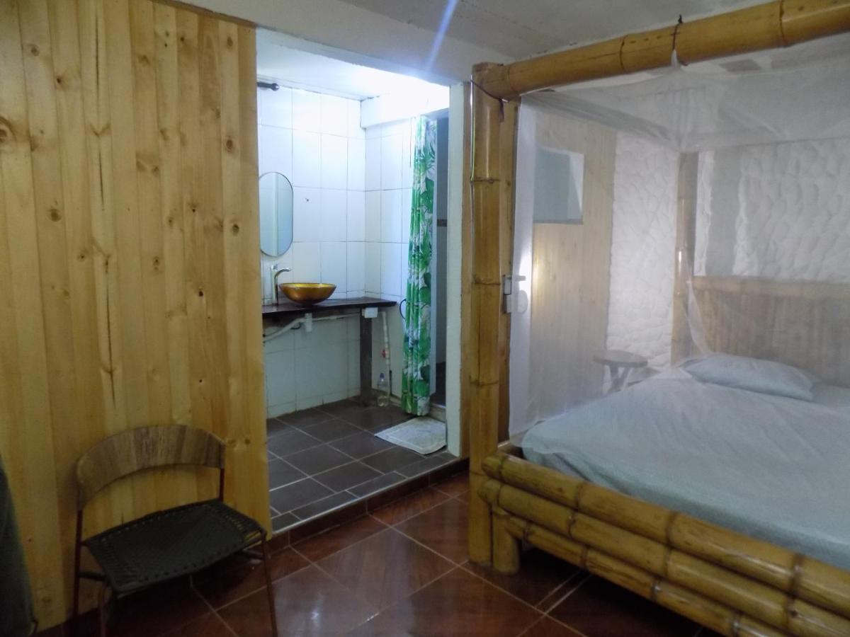 מינקה Colibri Hostal מראה חיצוני תמונה