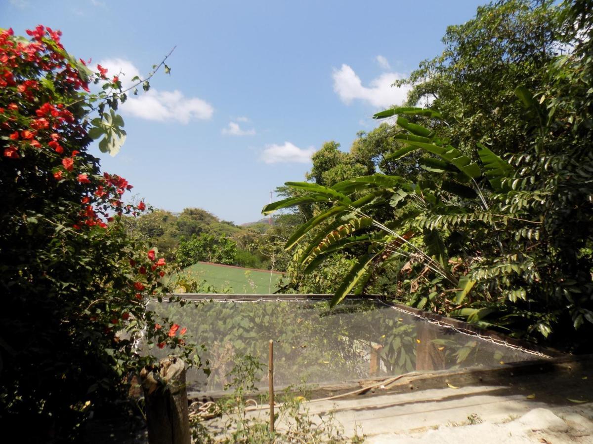 מינקה Colibri Hostal מראה חיצוני תמונה