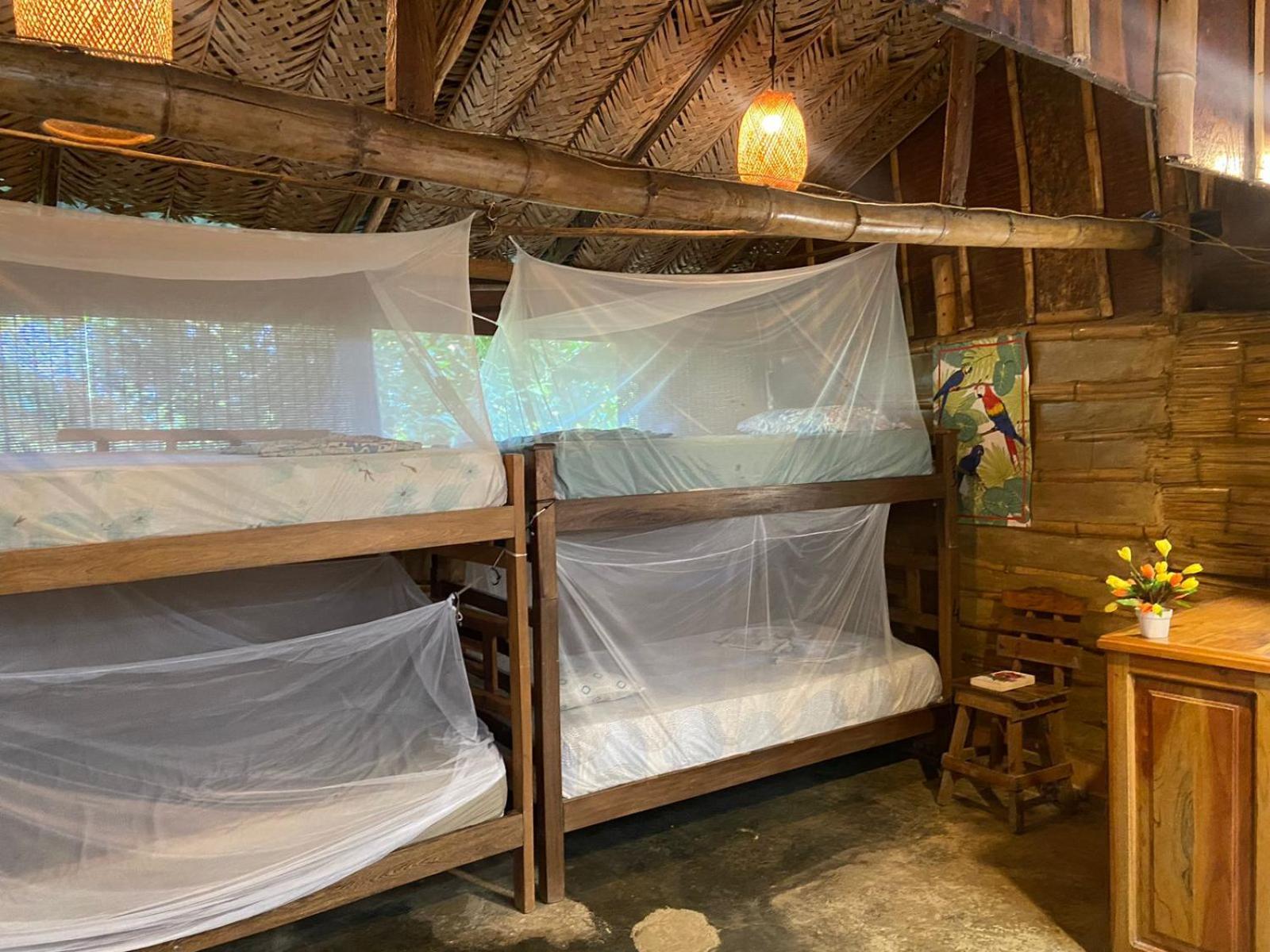 מינקה Colibri Hostal מראה חיצוני תמונה